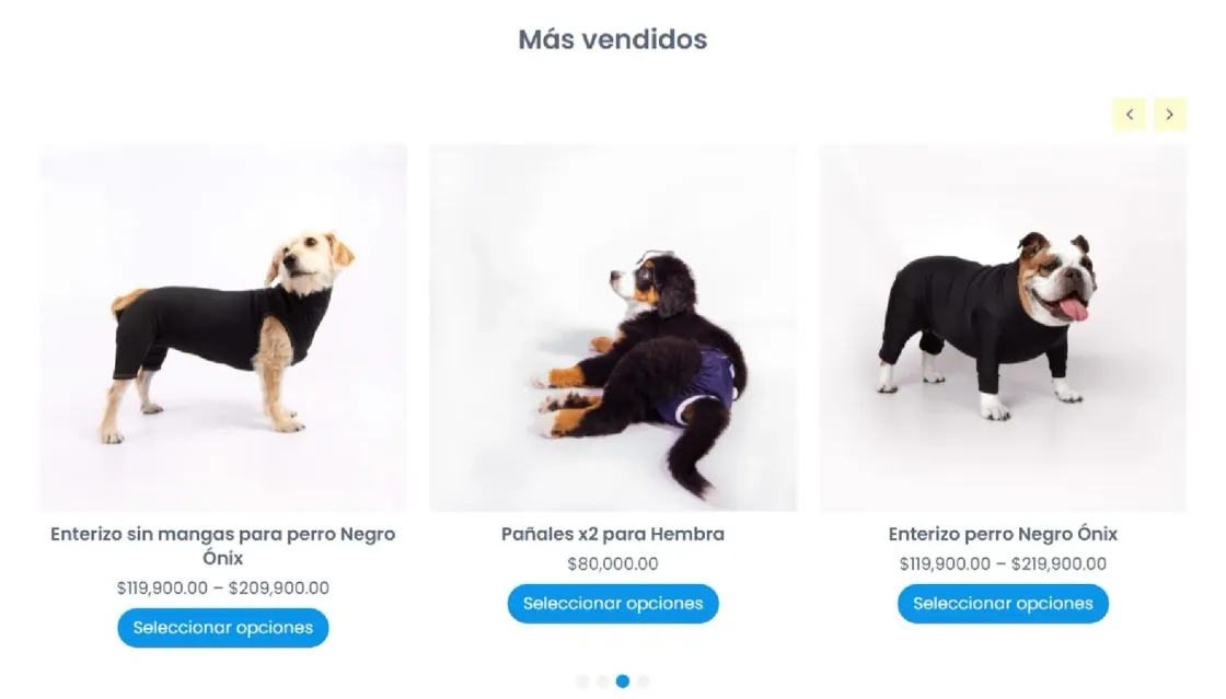 Capilli Pet Care — tienda online, captura 2